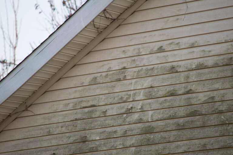 House with Moldy Vinyl Siding